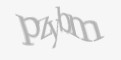 Защитный код